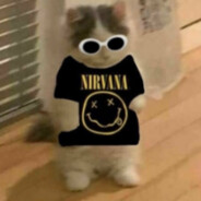 SpooderDawg29