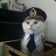 xkittehx