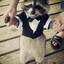 Raccoon Fashion Magazine