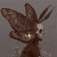 Moth