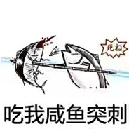 没有梦想的闲鱼