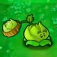 卷心菜你个人机