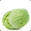 21 Cabbage