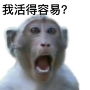 西伯利亚纯情公猴