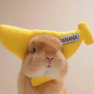 野比大雄的墓碑房