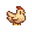 pachi