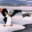Chilly Willy