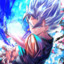 Vegetto