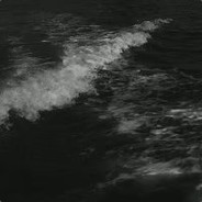 女粉丝很多的我