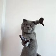 Кот - steam id 76561198398933960