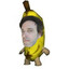 Cerati Platano