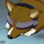 Corgi
