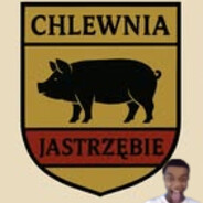 CHJ Wiela skins.army