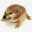 What the dog doing ?