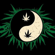 Pierdolony YING YANG