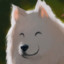 Lenzork