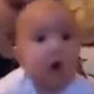 сдох попугай в 2015