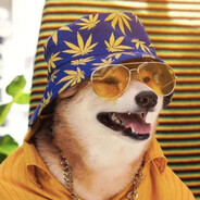 StonerShiba
