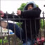 Black Fencejumper 32