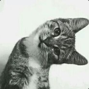 喀什葛儿的胡杨