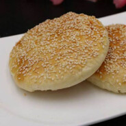 重生之我是烧饼双面烙