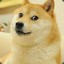 我在洛斯里克当猛男