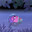 padwiy leytinant