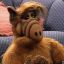 Alf-Gamer