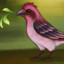 Purple_Finch