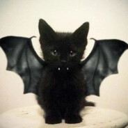 кабаньи яички