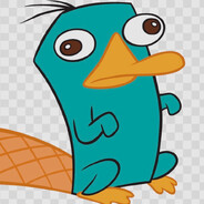 PerryThePocketPuss@bandit