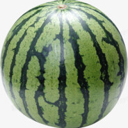 烈焰战车暴龙神