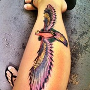 对不起，四个As