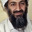 bin laden