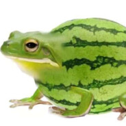 西瓜馒头蛙BLRNDER