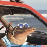 Lacoste Curtindo o Verão