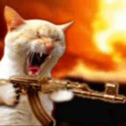 ⚔WarriorCat⚔kick.com/kralius