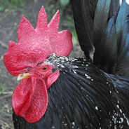 大家都是很好的宝宝呀