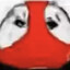 枳