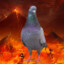 MoistPigeon