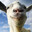 lennycitron11