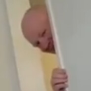 meivi