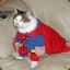 Super#caT