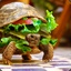 Schildkrötenburger