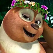 拥有大象腿的猫