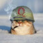 Капитан Мяу Котей