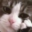 _КоТэ_ПоД_нАрКоТэ_