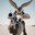 Wile.E.Coyote