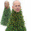 Spruce Willis
