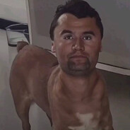 Cachorro Pescoço